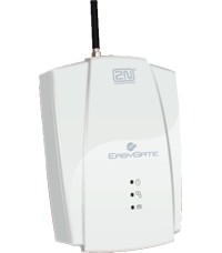 GSM шлюз 2N Ateus EasyGate 501313 + Fax
